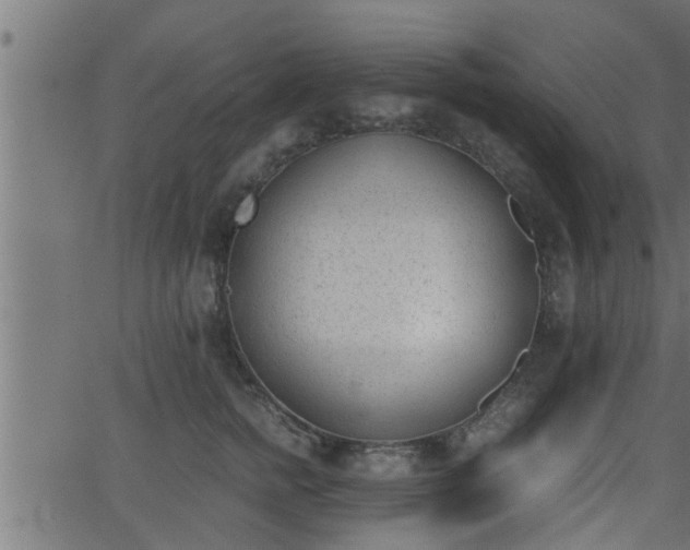 X0000062870758200601171421