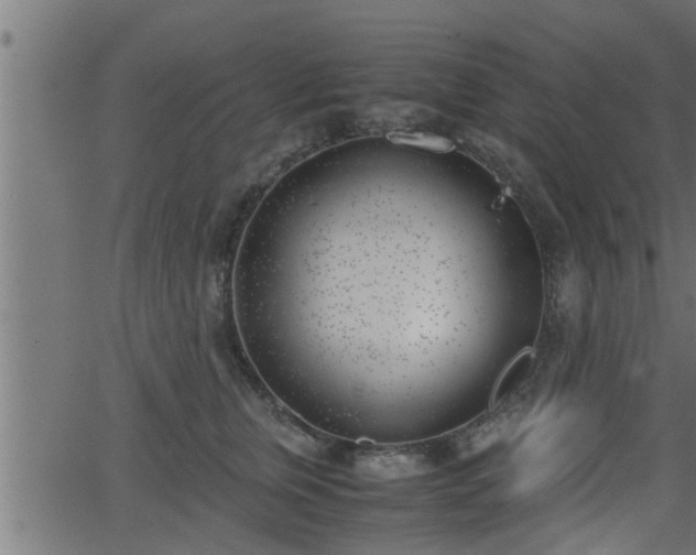 X0000062870759200601171421