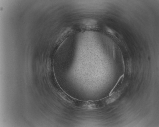 X0000062870760200601171421