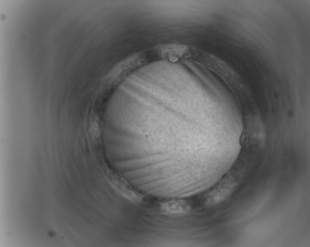 X0000062870761200601171421