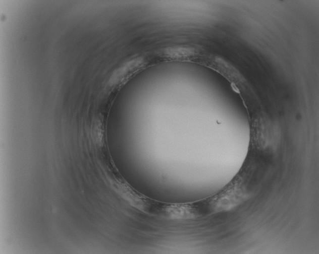 X0000062870762200601171421