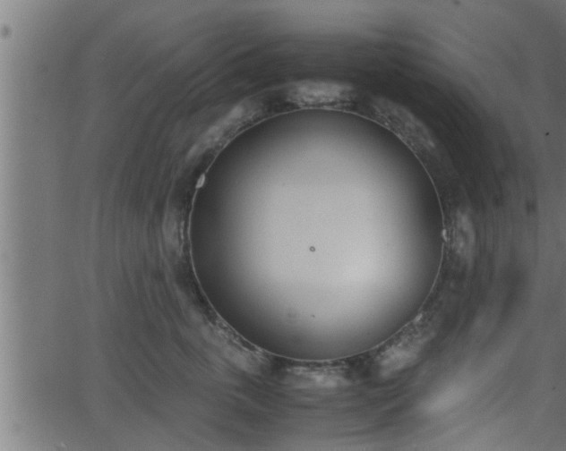 X0000062870763200601171421