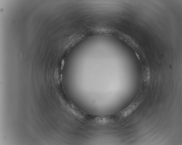 X0000062870764200601171421