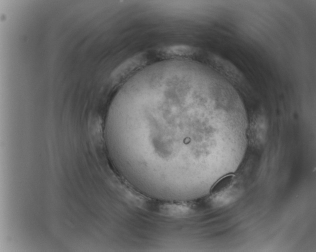 X0000062870765200601171421