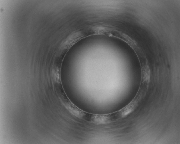 X0000062870766200601171421