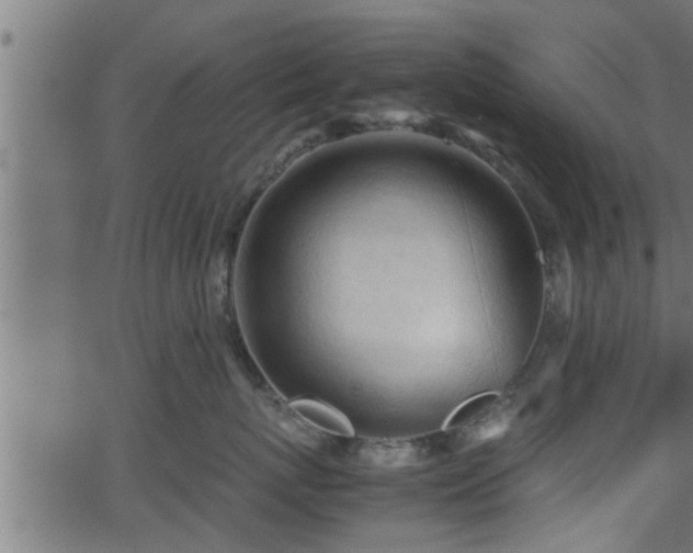 X0000062870767200601171421