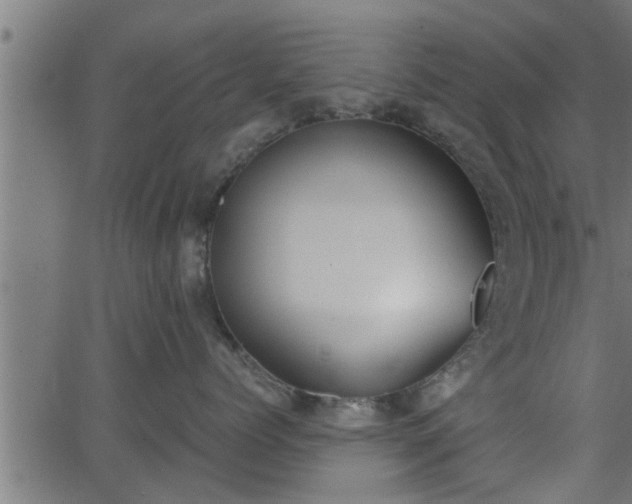 X0000062870768200601171421