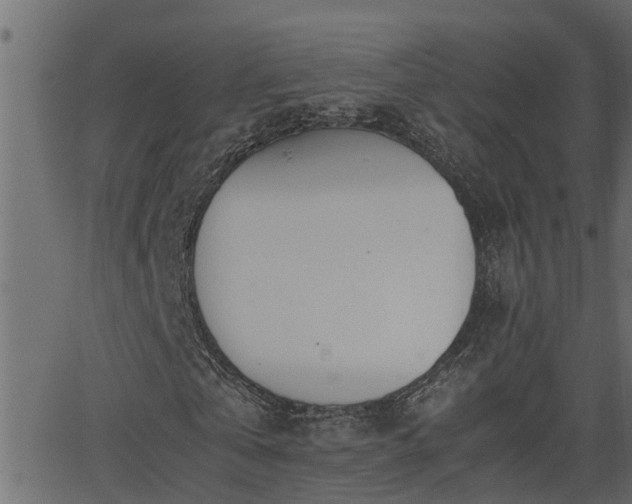 X0000062870769200601171420