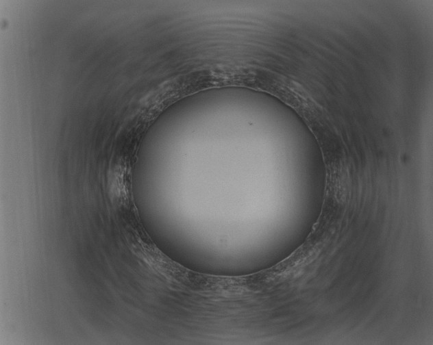 X0000062870770200601171420