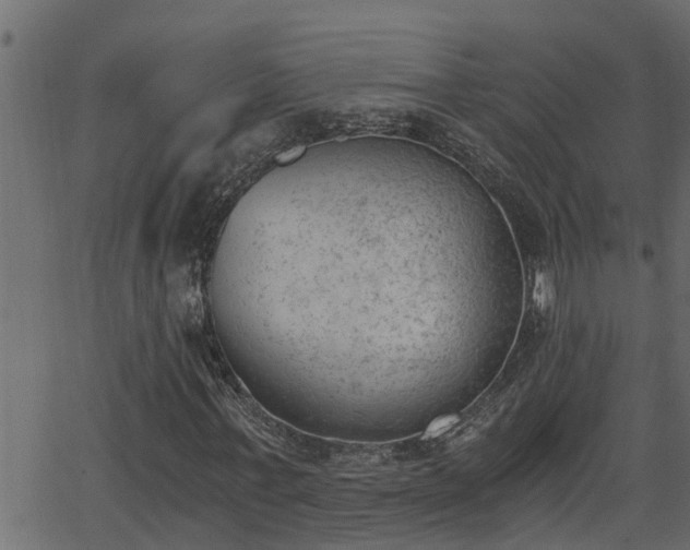 X0000062870771200601171420