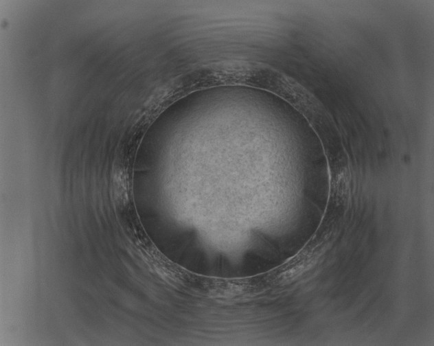 X0000062870772200601171420