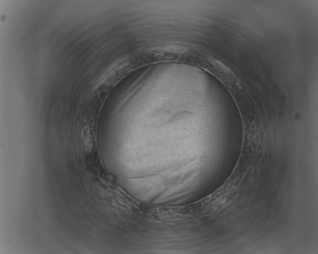 X0000062870774200601171420