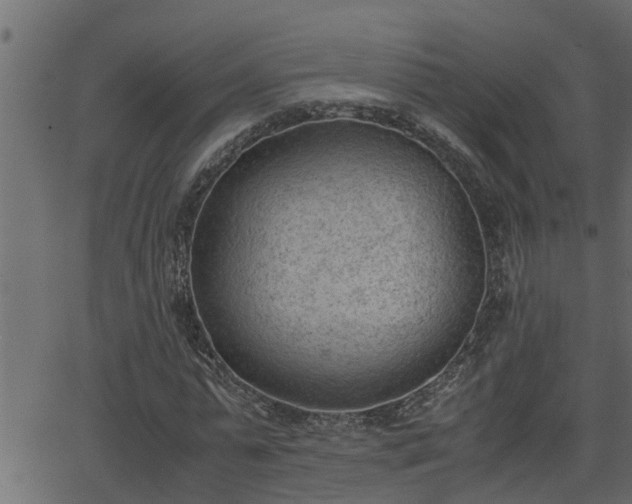 X0000062870775200601171420