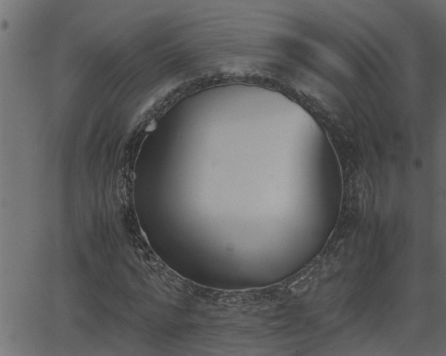 X0000062870776200601171420