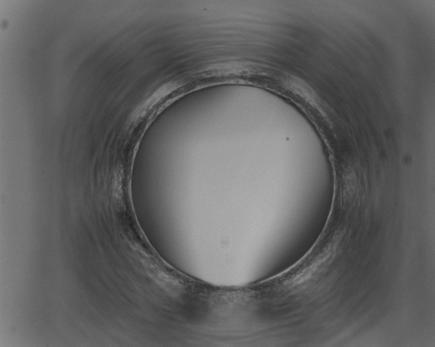 X0000062870778200601171420