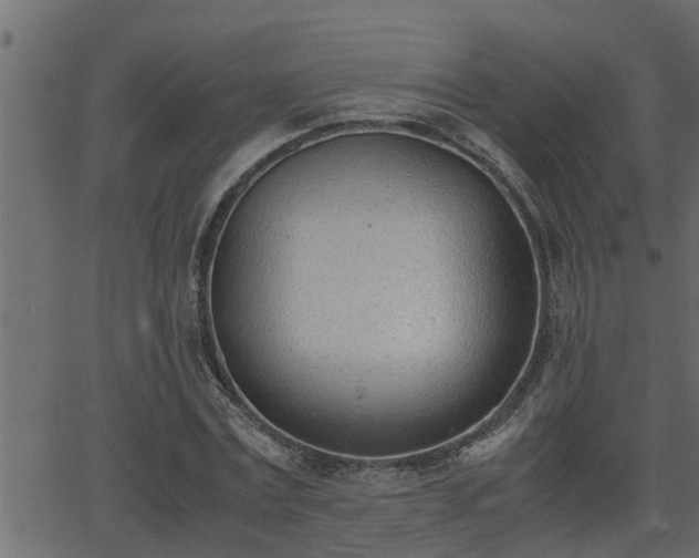 X0000062870779200601171420