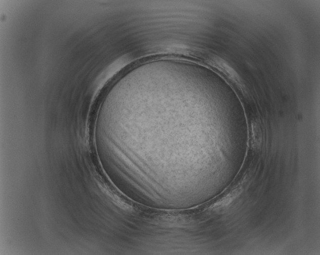 X0000062870780200601171420