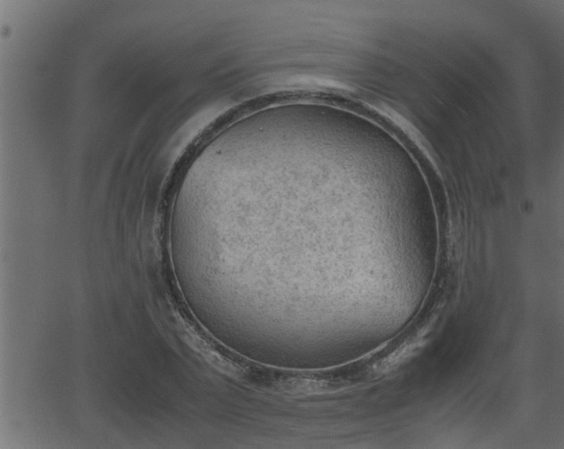 X0000062870783200601171420