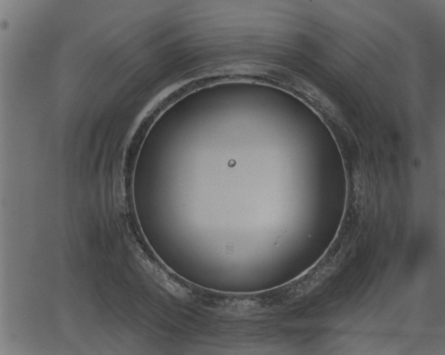 X0000062870784200601171420