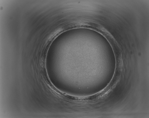 X0000062870785200601171420