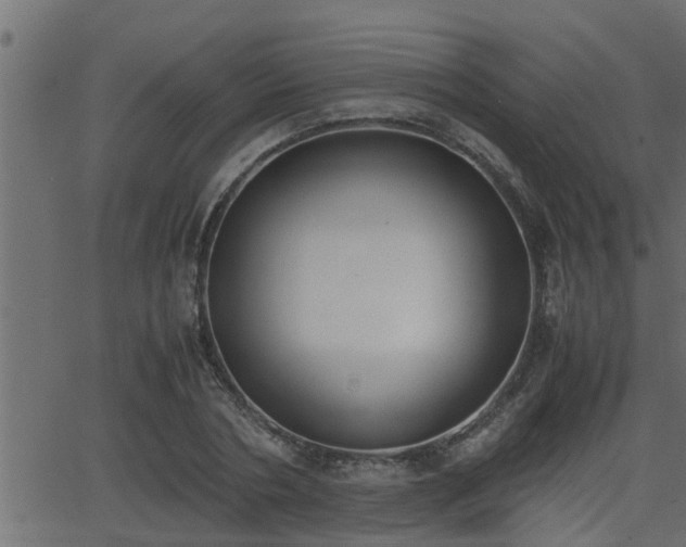 X0000062870786200601171420