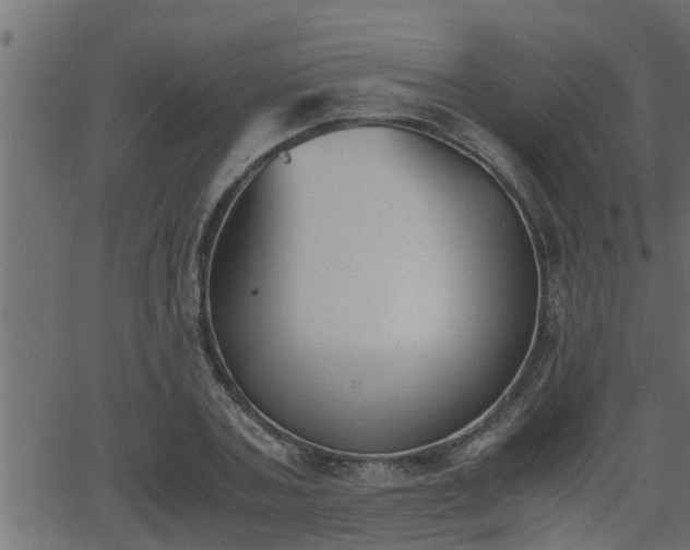 X0000062870787200601171420