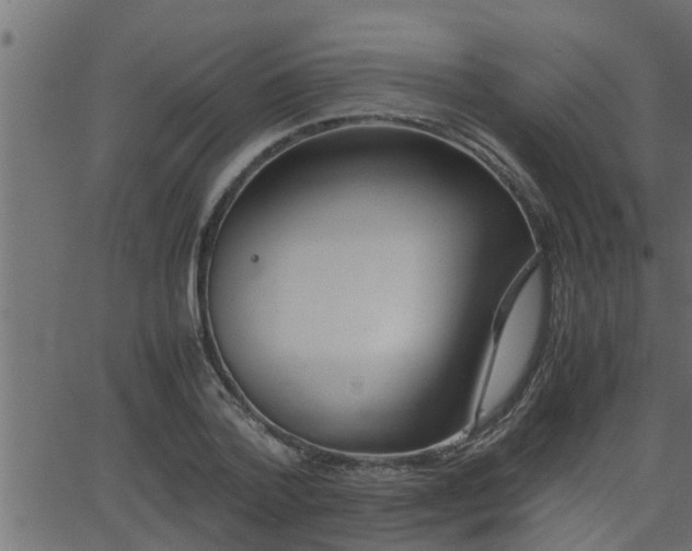 X0000062870788200601171420