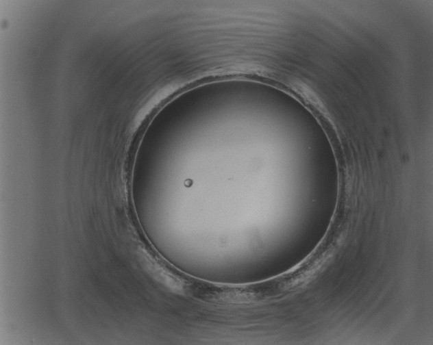 X0000062870789200601171420