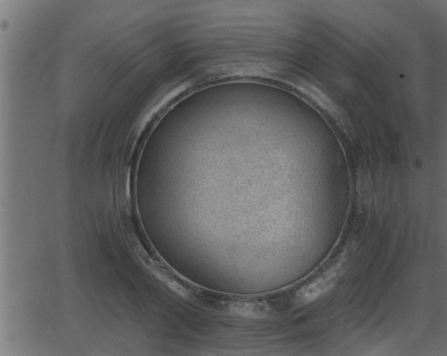 X0000062870790200601171420