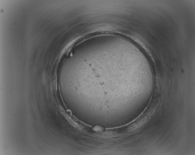 X0000062870791200601171420