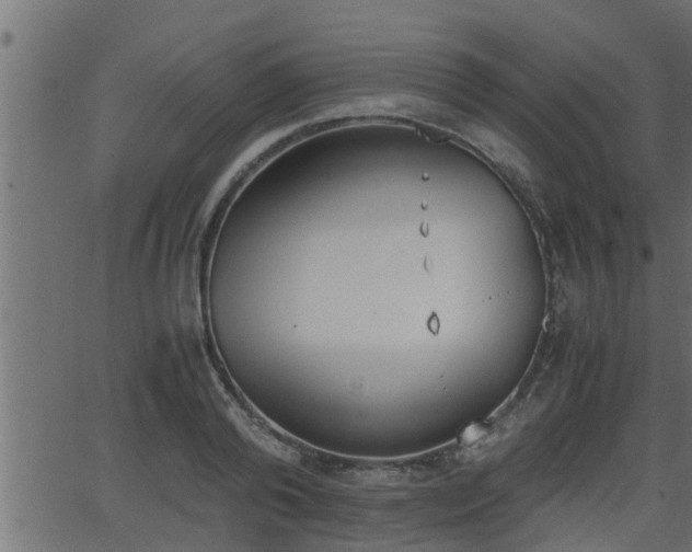 X0000062870792200601171420