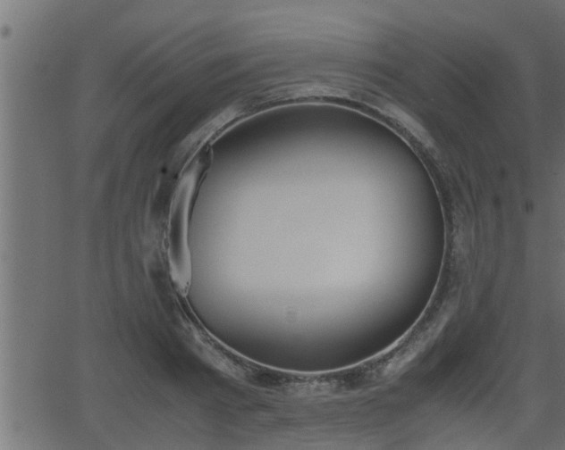 X0000062870793200601171420