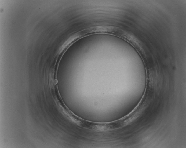 X0000062870794200601171420