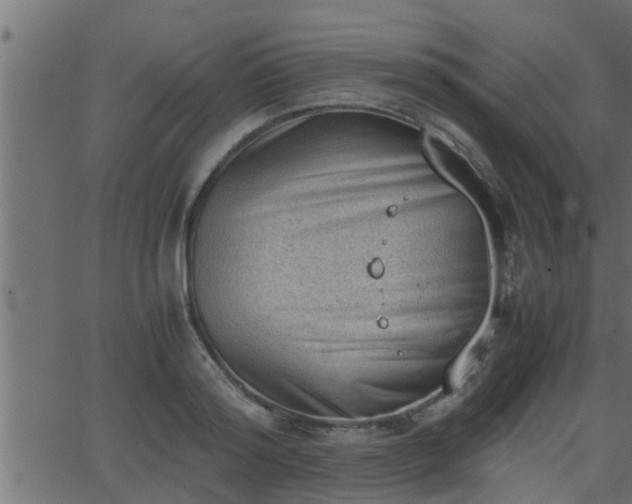 X0000062870796200601171420