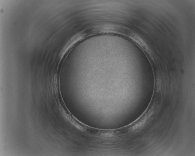 X0000062870798200601171420