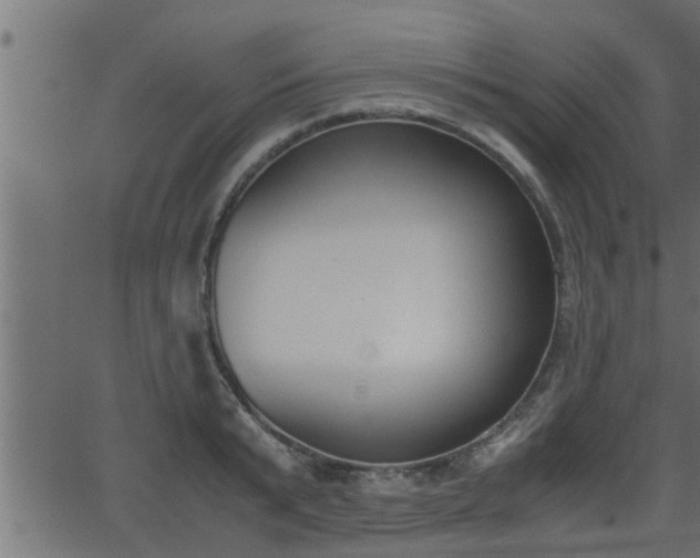 X0000062870799200601171420