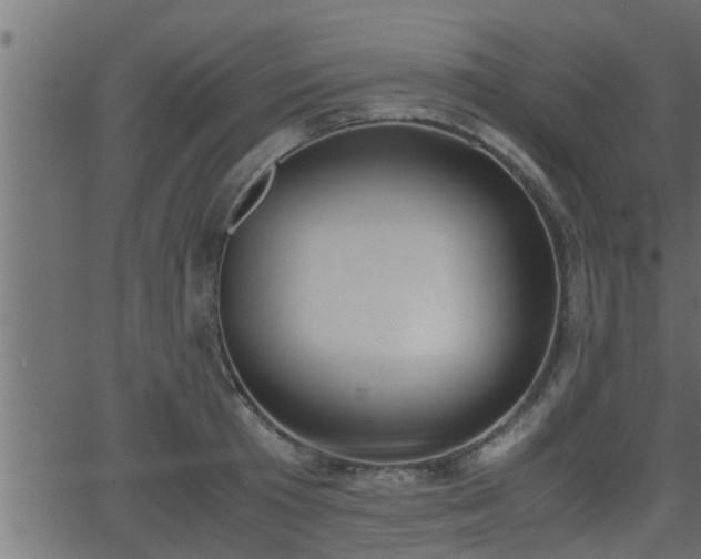 X0000062870801200601171420