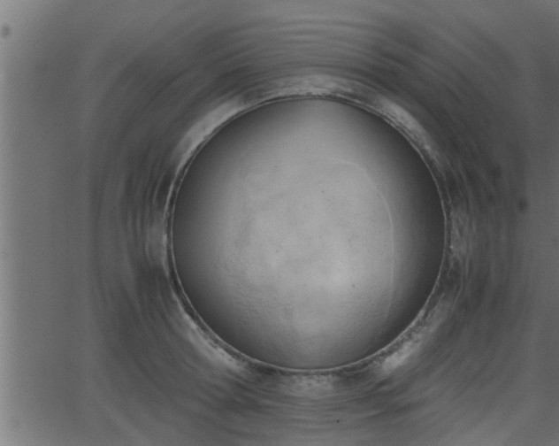 X0000062870802200601171420