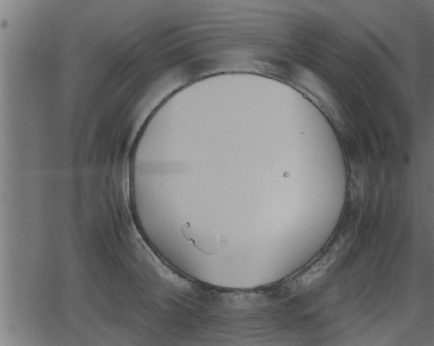 X0000062870804200601171420