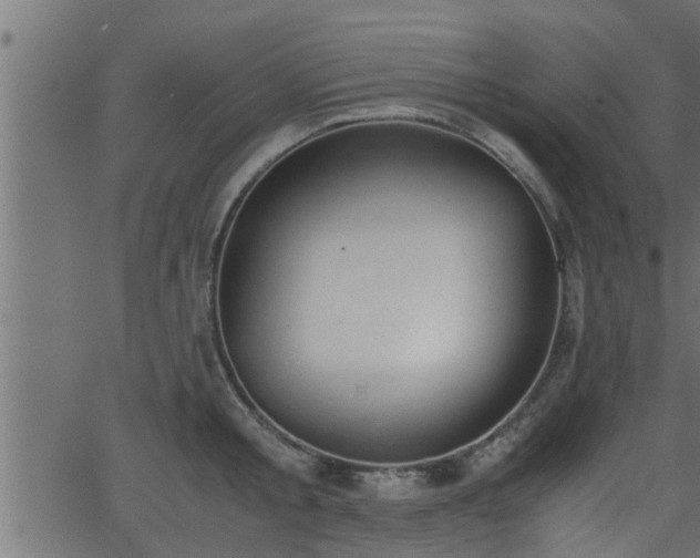 X0000062870805200601171420