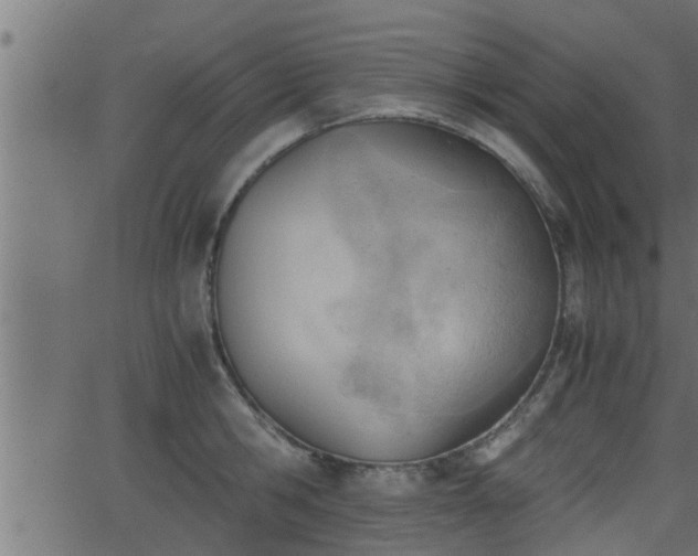 X0000062870806200601171420