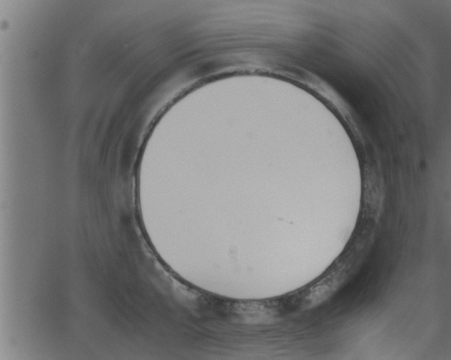 X0000062870807200601171420