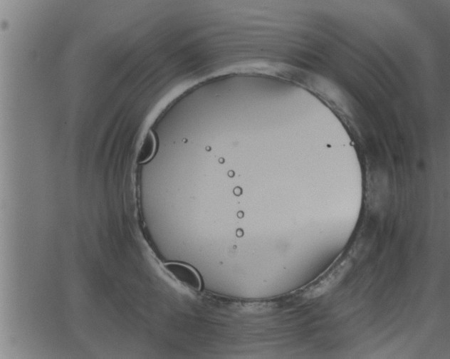 X0000062870808200601171420