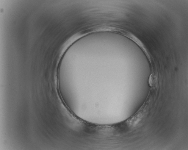 X0000062870811200601171420