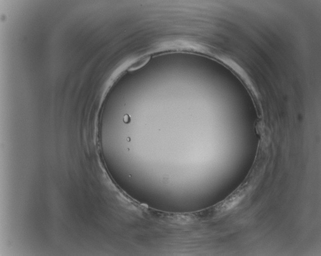 X0000062870815200601171420