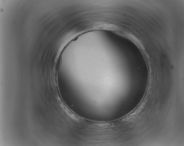 X0000062870816200601171420