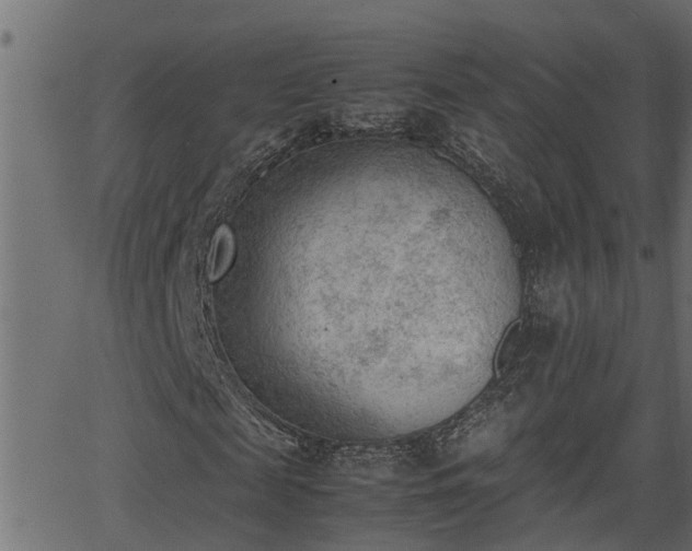 X0000062870817200601171419