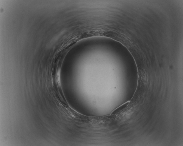 X0000062870818200601171419