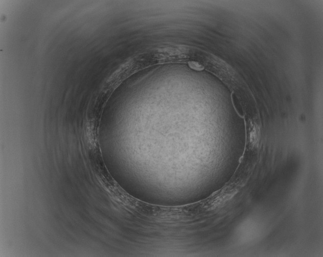 X0000062870819200601171419