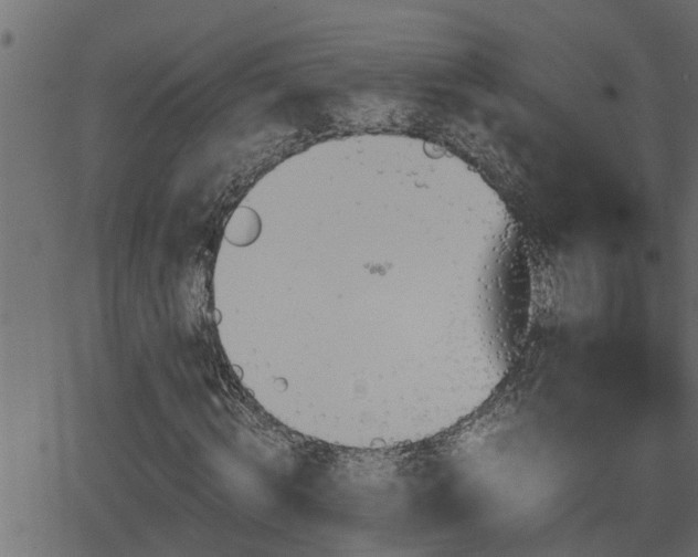 X0000062870820200601171419